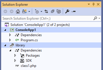 Solution Explorer with Library project
